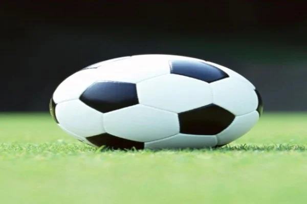 坦帕湾闪电训练营观察库切罗夫进攻火力与大西洋区竞争新格局